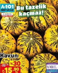 KAVUN KG fiyat ve kampanya bilgisi